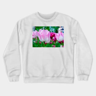 Pink tulips closeup Crewneck Sweatshirt